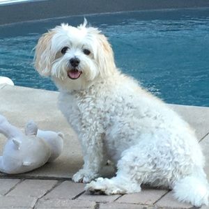 Meet your Posher, Elaine